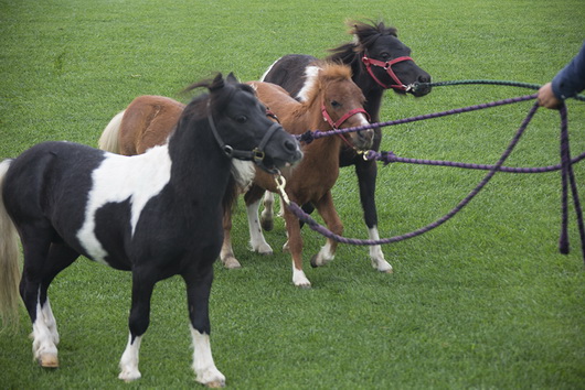 圖片關(guān)鍵詞 圖片關(guān)鍵詞