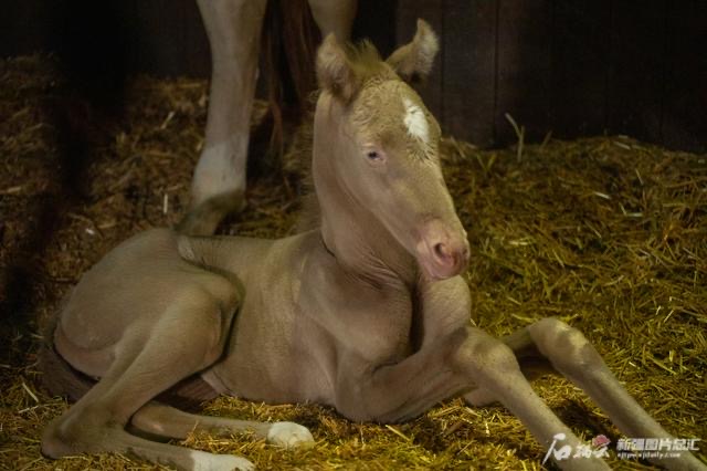 圖片關鍵詞 圖片關鍵詞
