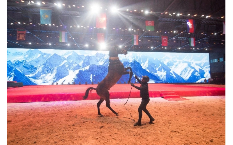 住馬酒店、吃馬肉腸、喝馬奶粉、品馬奶酒--