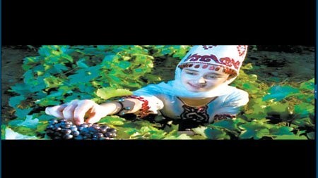 圖片關鍵詞 圖片關鍵詞