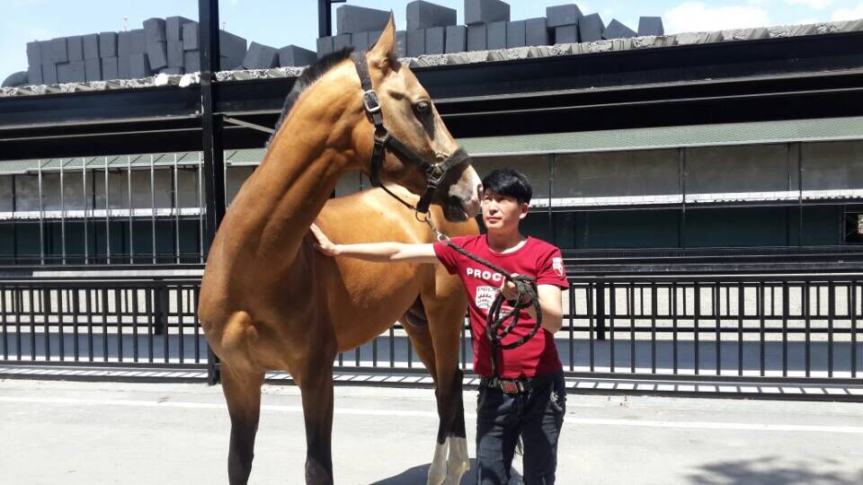 圖片關(guān)鍵詞 圖片關(guān)鍵詞